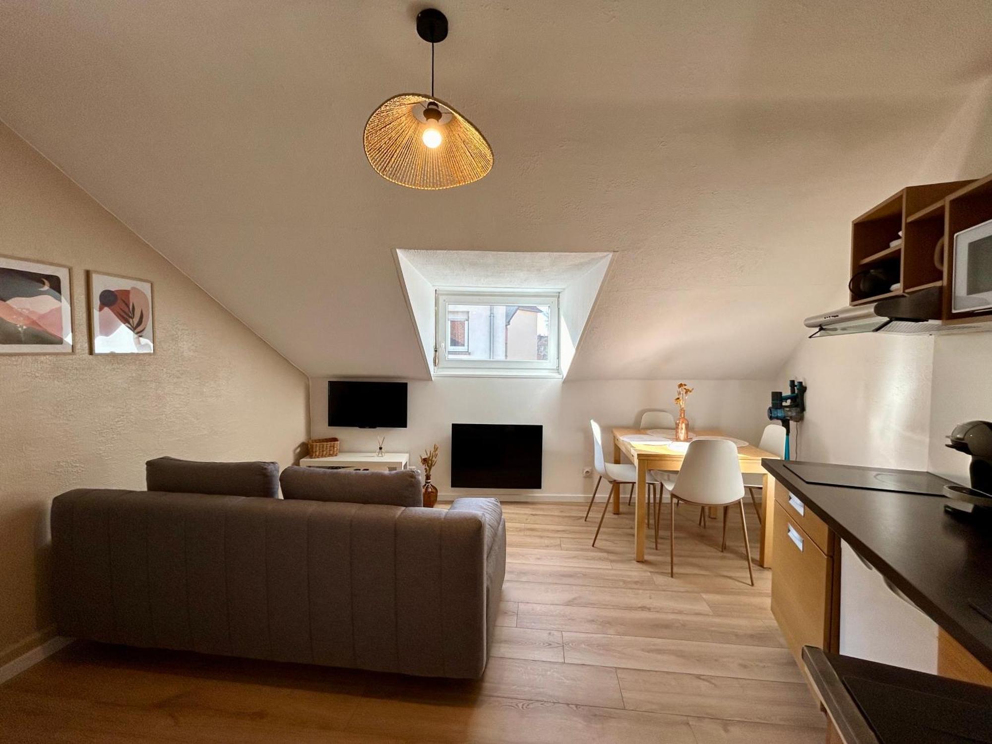 Douce Agathe - Duo-Groupe, Chaleureux, Tram 200M, Centre 10Min Apartment Strasbourg Luaran gambar