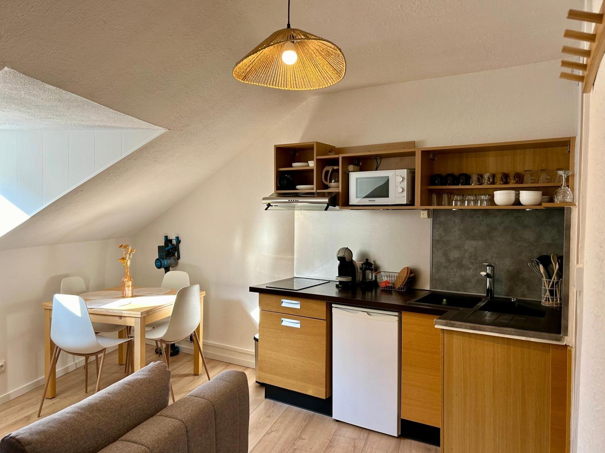 Douce Agathe - Duo-Groupe, Chaleureux, Tram 200M, Centre 10Min Apartment Strasbourg Luaran gambar