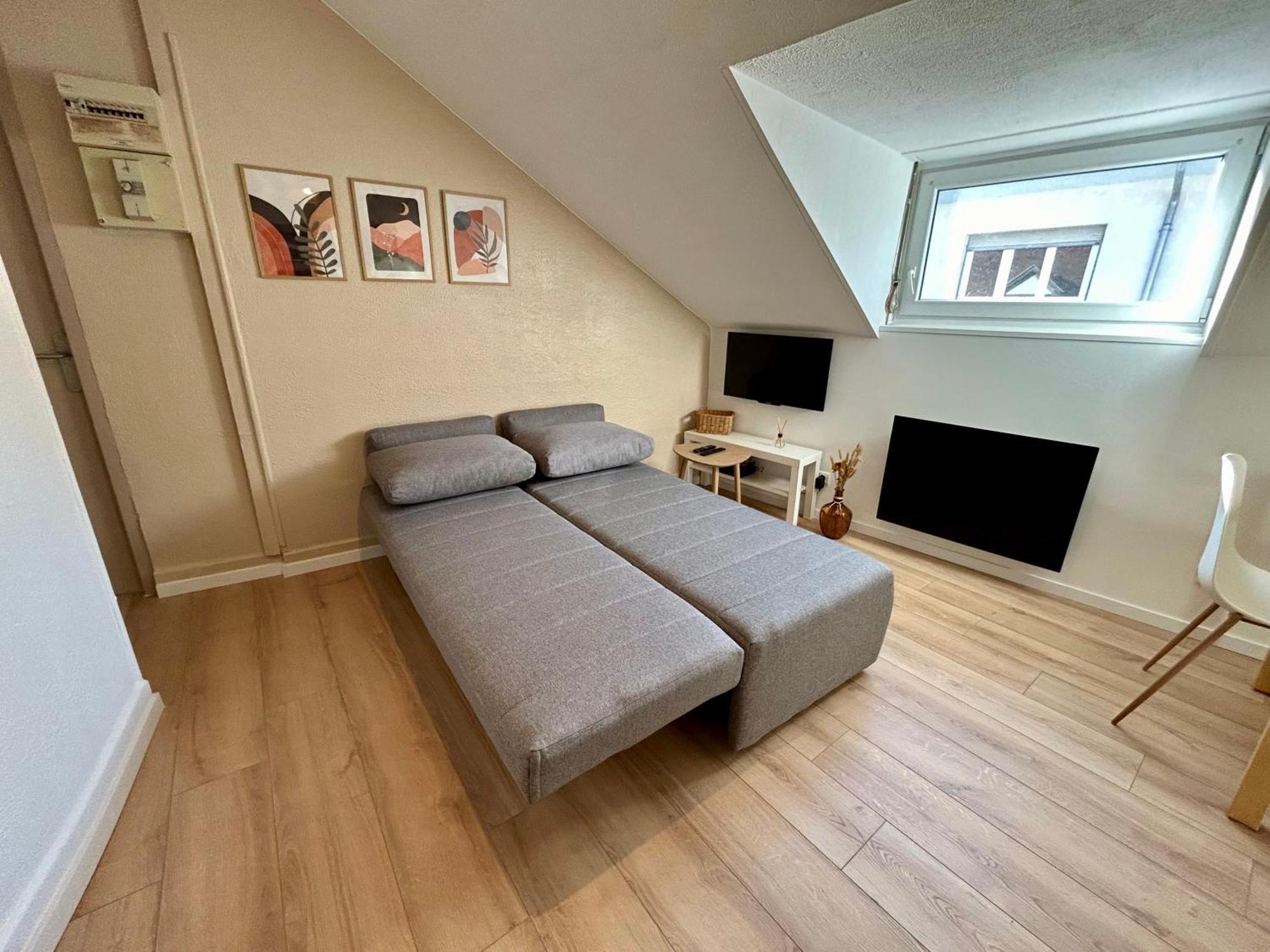 Douce Agathe - Duo-Groupe, Chaleureux, Tram 200M, Centre 10Min Apartment Strasbourg Luaran gambar